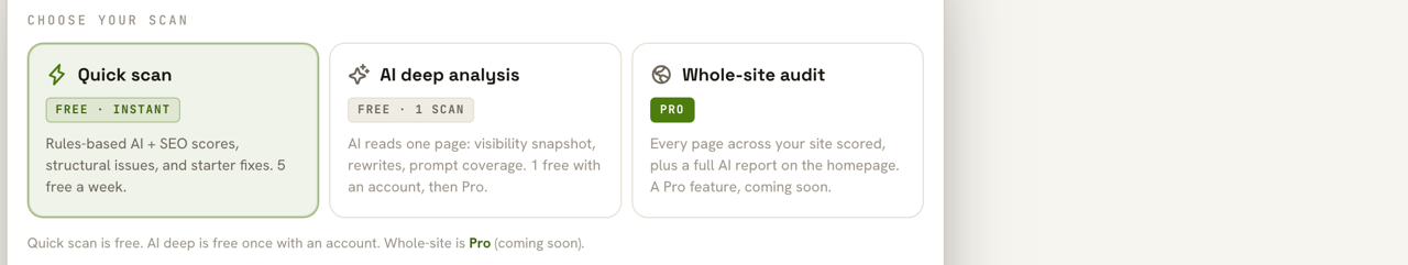 Choosing a scan type: Page audit, AI visibility, or Full-site