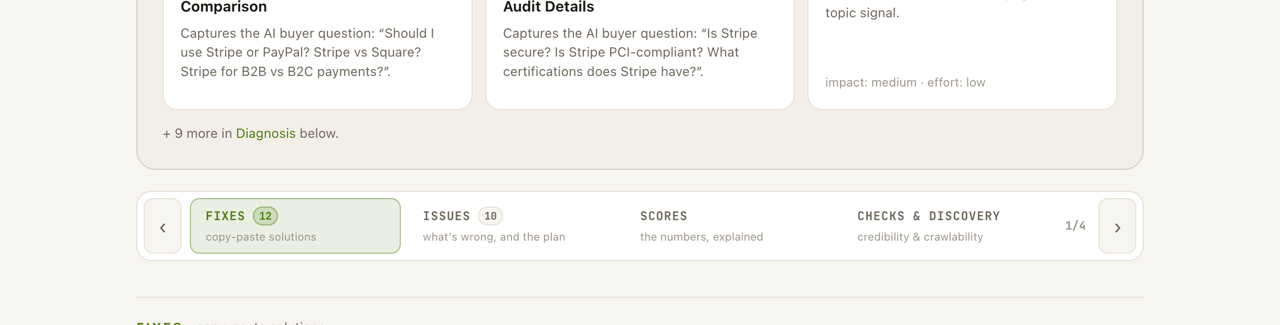 The four report tabs: Fixes, Issues, Scores, and Checks & Discovery